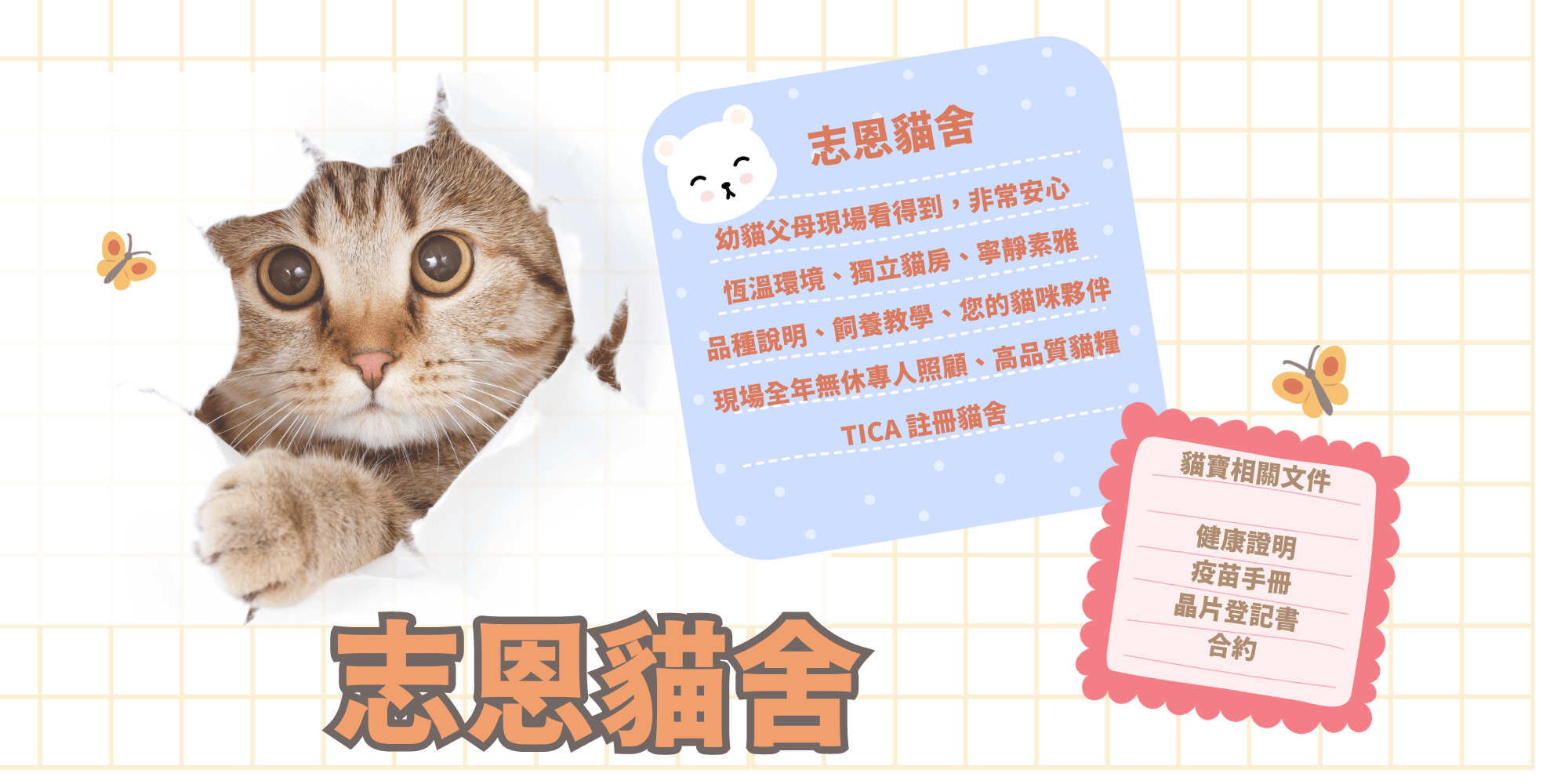志恩貓舍 banner-2
